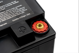 Enersys Genesis G42EP Battery - 12 Volt 42 Ah